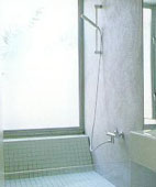 Bathroom Showers - Hand-held Model in Muted Bathroom Color